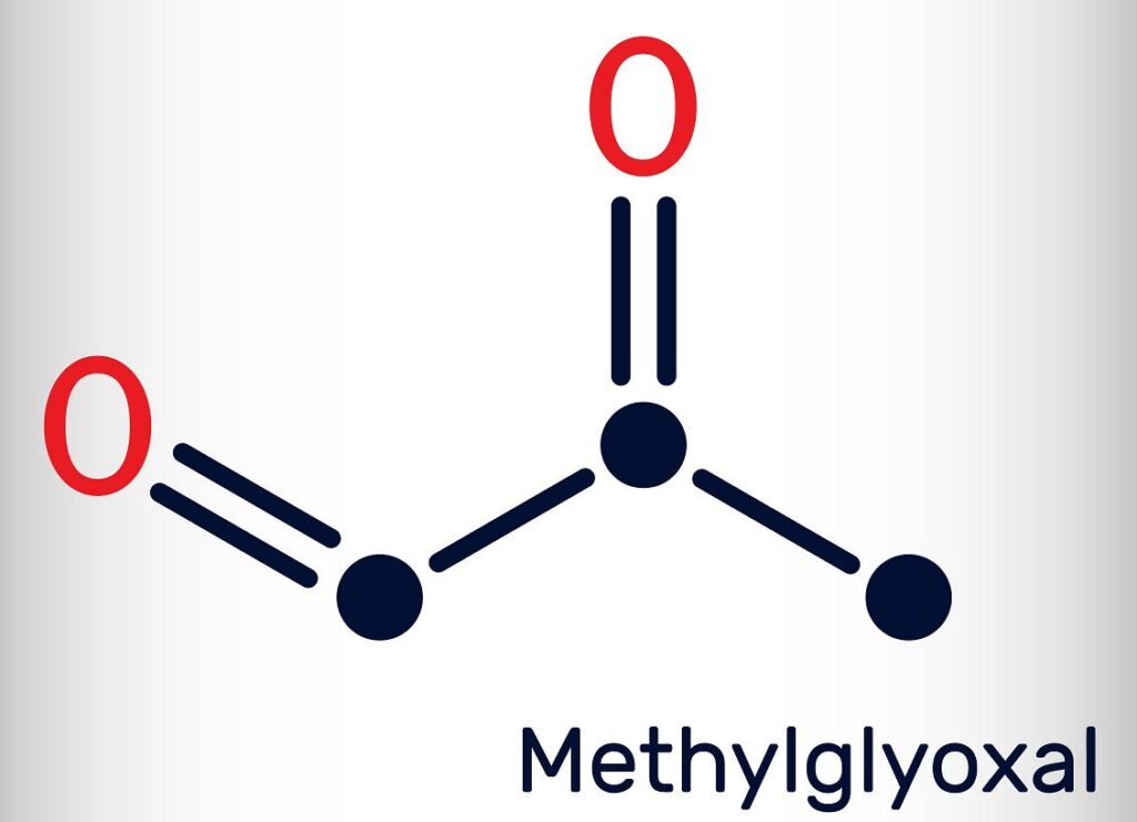 methylglyoxal